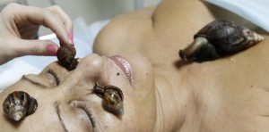 Introducing New Snail Massage